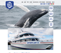 affordable website design for Newburyport Whale Watch