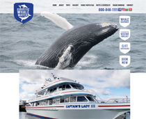 affordable website design for Newburyport Whale Watch
